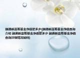 融通新藍(lán)籌基金凈值是多少(融通新藍(lán)籌基金凈值查詢介紹 融通新藍(lán)籌基金凈值是多少 融通新藍(lán)籌基金凈值查詢詳細(xì)情況如何)