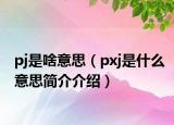 pj是啥意思（pxj是什么意思簡(jiǎn)介介紹）