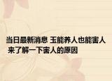 當日最新消息 玉能養(yǎng)人也能害人 來了解一下害人的原因