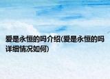 愛是永恒的嗎介紹(愛是永恒的嗎詳細情況如何)