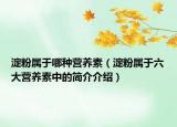 淀粉屬于哪種營(yíng)養(yǎng)素（淀粉屬于六大營(yíng)養(yǎng)素中的簡(jiǎn)介介紹）