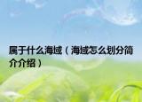 屬于什么海域（海域怎么劃分簡介介紹）