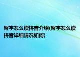 臀字怎么讀拼音介紹(臀字怎么讀拼音詳細情況如何)