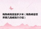 梅魯峰高度是多少米（梅魯峰是世界第幾高峰簡介介紹）