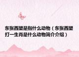 東張西望是指什么動(dòng)物（東張西望打一生肖是什么動(dòng)物簡(jiǎn)介介紹）