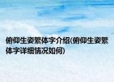 俯仰生姿繁體字介紹(俯仰生姿繁體字詳細情況如何)