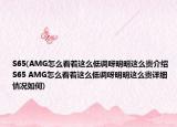 S65(AMG怎么看著這么低調(diào)呀明明這么貴介紹 S65 AMG怎么看著這么低調(diào)呀明明這么貴詳細情況如何)