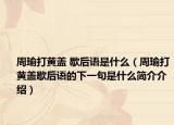 周瑜打黃蓋 歇后語是什么（周瑜打黃蓋歇后語的下一句是什么簡介介紹）