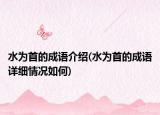 水為首的成語介紹(水為首的成語詳細情況如何)