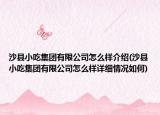 沙縣小吃集團(tuán)有限公司怎么樣介紹(沙縣小吃集團(tuán)有限公司怎么樣詳細(xì)情況如何)