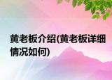 黃老板介紹(黃老板詳細情況如何)