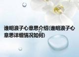 誰明浪子心意思介紹(誰明浪子心意思詳細(xì)情況如何)