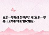 巨浪一號是什么導(dǎo)彈介紹(巨浪一號是什么導(dǎo)彈詳細(xì)情況如何)