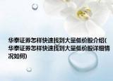 華泰證券怎樣快速找到大量低價(jià)股介紹(華泰證券怎樣快速找到大量低價(jià)股詳細(xì)情況如何)