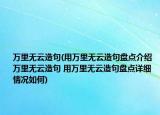 萬里無云造句(用萬里無云造句盤點(diǎn)介紹 萬里無云造句 用萬里無云造句盤點(diǎn)詳細(xì)情況如何)