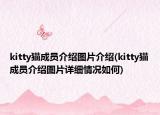kitty貓成員介紹圖片介紹(kitty貓成員介紹圖片詳細(xì)情況如何)