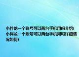 小伴龍一個賬號可以兩臺手機(jī)用嗎介紹(小伴龍一個賬號可以兩臺手機(jī)用嗎詳細(xì)情況如何)