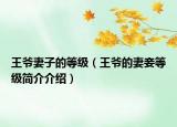王爺妻子的等級（王爺?shù)钠捩燃壓喗榻榻B）