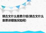 猥古文什么意思介紹(猥古文什么意思詳細情況如何)