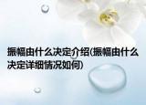 振幅由什么決定介紹(振幅由什么決定詳細(xì)情況如何)