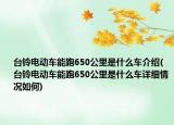 臺鈴電動車能跑650公里是什么車介紹(臺鈴電動車能跑650公里是什么車詳細(xì)情況如何)