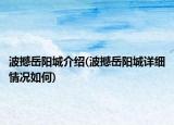 波撼岳陽(yáng)城介紹(波撼岳陽(yáng)城詳細(xì)情況如何)