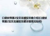 口袋妖怪黑2寶貝龍捕捉攻略介紹(口袋妖怪黑2寶貝龍捕捉攻略詳細(xì)情況如何)