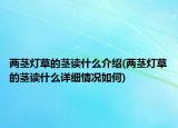 兩莖燈草的莖讀什么介紹(兩莖燈草的莖讀什么詳細(xì)情況如何)