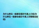 為什么鮮花一般都會插在牛糞上介紹(為什么鮮花一般都會插在牛糞上詳細情況如何)