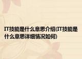 IT技能是什么意思介紹(IT技能是什么意思詳細情況如何)