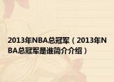 2013年NBA總冠軍（2013年NBA總冠軍是誰簡介介紹）