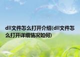dll文件怎么打開介紹(dll文件怎么打開詳細(xì)情況如何)