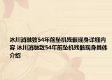 冰川消融致54年前墜機(jī)殘骸現(xiàn)身詳細(xì)內(nèi)容 冰川消融致54年前墜機(jī)殘骸現(xiàn)身具體介紹