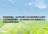 我家的玫瑰花一朵花里有兩個(gè)花芯,誰(shuí)知道是怎么回事?介紹(我家的玫瑰花一朵花里有兩個(gè)花芯,誰(shuí)知道是怎么回事?詳細(xì)情況如何)