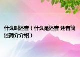 什么叫還音（什么是還音 還音簡述簡介介紹）