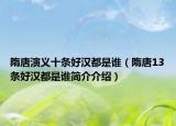 隋唐演義十條好漢都是誰（隋唐13條好漢都是誰簡介介紹）