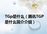 TGp是什么（騰訊TGP是什么簡介介紹）