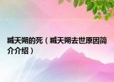 臧天朔的死（臧天朔去世原因簡介介紹）