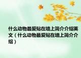什么動物最愛貼在墻上簡介介紹英文（什么動物最愛貼在墻上簡介介紹）
