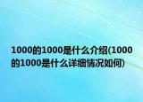 1000的1000是什么介紹(1000的1000是什么詳細(xì)情況如何)