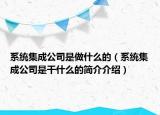 系統(tǒng)集成公司是做什么的（系統(tǒng)集成公司是干什么的簡介介紹）