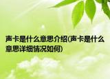 聲卡是什么意思介紹(聲卡是什么意思詳細情況如何)