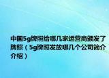 中國5g牌照給哪幾家運營商頒發(fā)了牌照（5g牌照發(fā)放哪幾個公司簡介介紹）