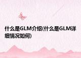 什么是GLM介紹(什么是GLM詳細(xì)情況如何)