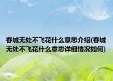 春城無處不飛花什么意思介紹(春城無處不飛花什么意思詳細(xì)情況如何)