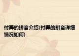 付弄的拼音介紹(付弄的拼音詳細(xì)情況如何)