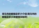 青島市的郵編是多少介紹(青島市的郵編是多少詳細(xì)情況如何)