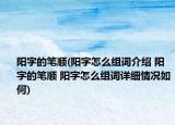 陽(yáng)字的筆順(陽(yáng)字怎么組詞介紹 陽(yáng)字的筆順 陽(yáng)字怎么組詞詳細(xì)情況如何)