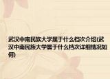 武漢中南民族大學(xué)屬于什么檔次介紹(武漢中南民族大學(xué)屬于什么檔次詳細(xì)情況如何)