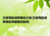 王維寫的詩有哪些介紹(王維寫的詩有哪些詳細(xì)情況如何)
